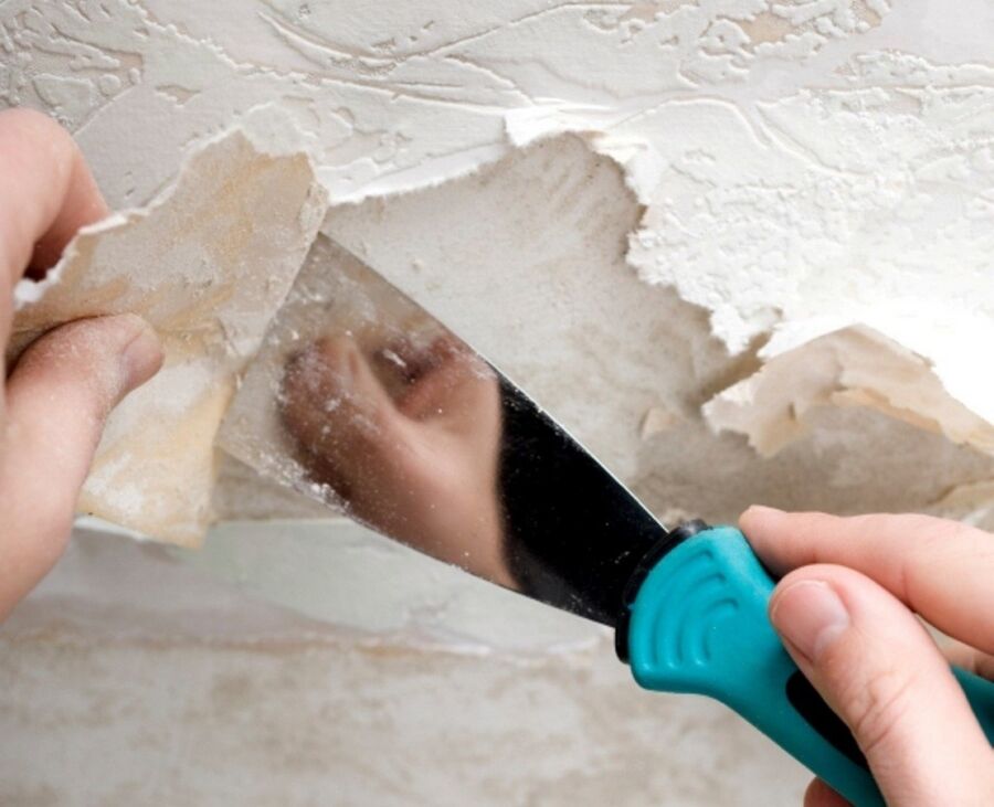 Как легко и быстро снять старые обои со стены, чем очистить флизелиновые, моющиеся, жидкие и другие с гипсокартона, дерева в домашних условиях?