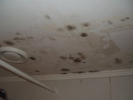 Плесень в ванной на потолке как избавиться