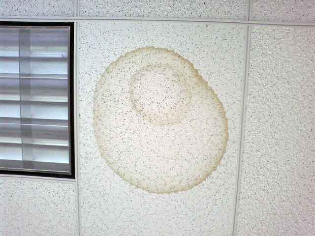 Масляные пятна на потолке